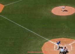 柠檬体育直播-女子巴西甲组联赛的赛季安排与球队表现