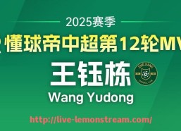 柠檬体育直播-2023年男篮亚洲杯赛事的竞争格局与关键球员表现点评