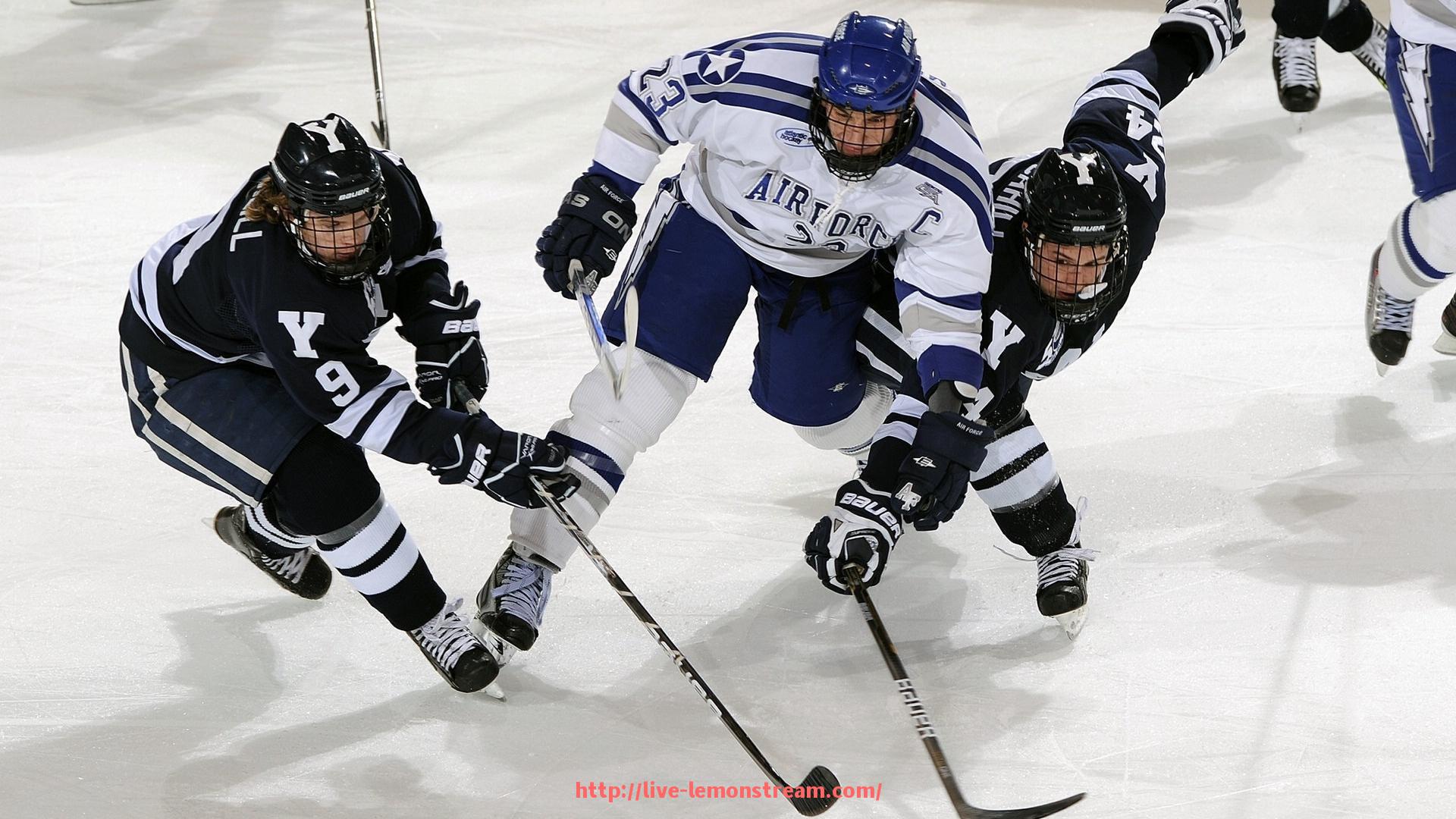 柠檬体育直播-世俱杯赛事观众反馈调查报告,收集意见助力优化