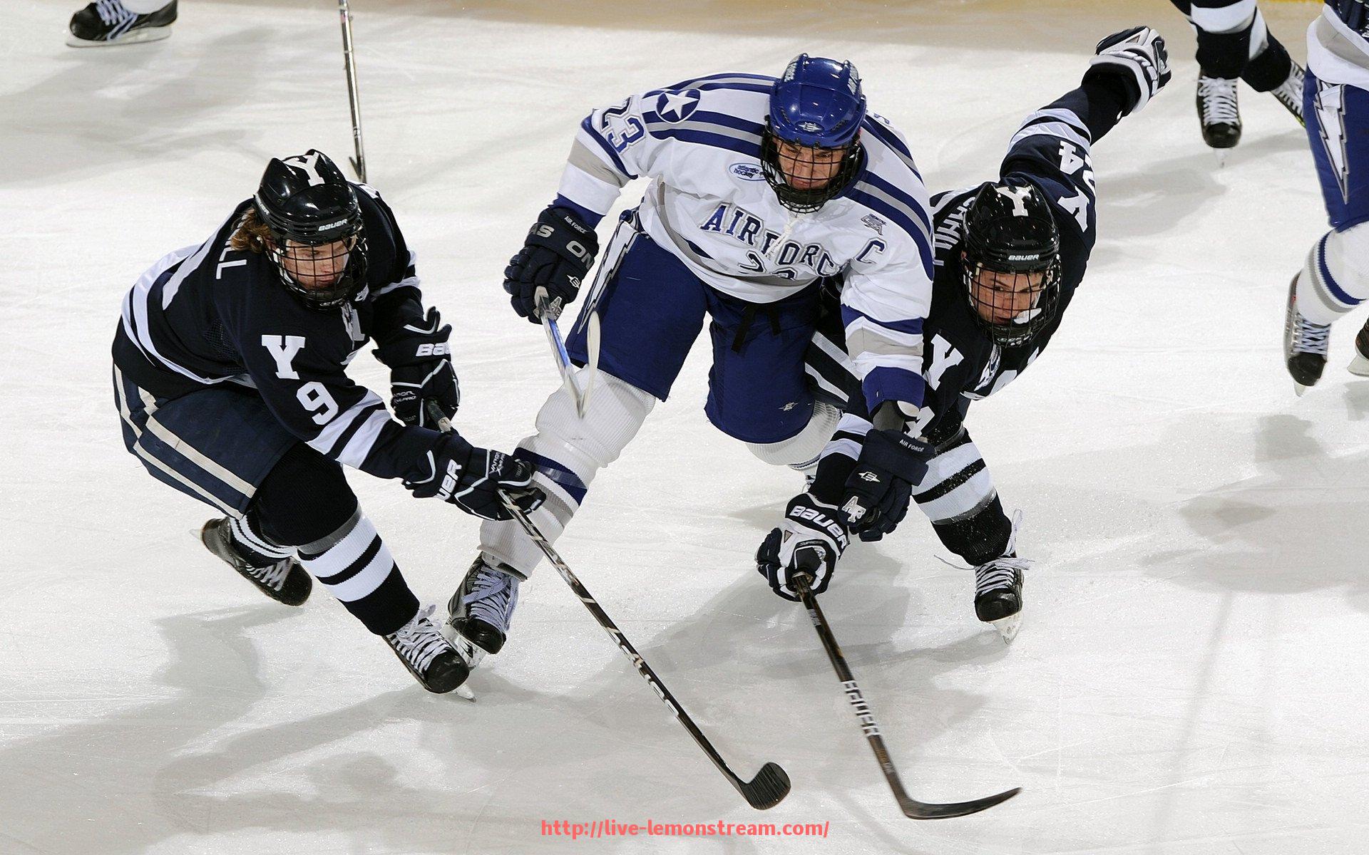 柠檬体育直播-火箭队2016年排名及赛季表现回顾